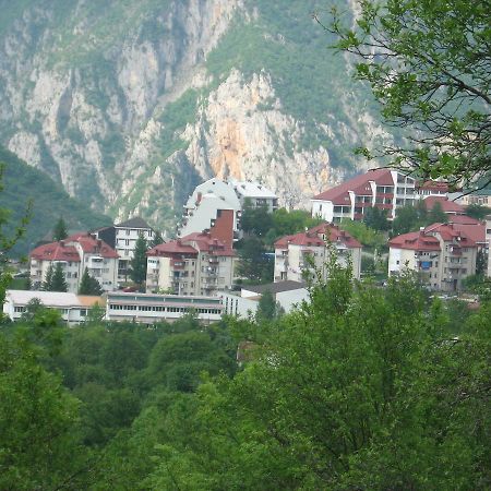 Apartment Vera Плужине Екстериор снимка